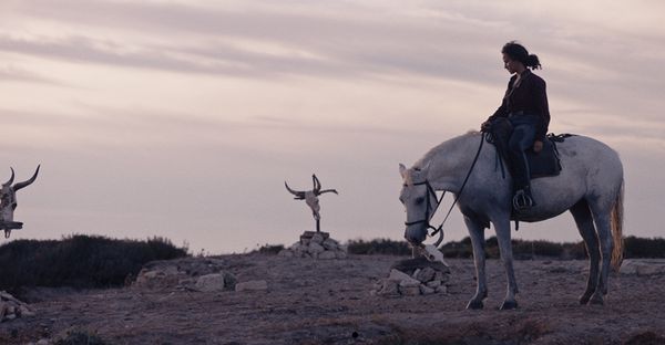 Emma Benestan’s Animale is styled as a “genre piece” set in the Camargue