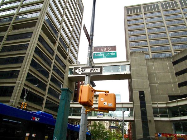 Audre Lorde Way at East 68th Street and Lexington Avenue in New York City