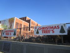 CHRISTMAS TREES and CHRISTMAS TREE'S banner confusion in New York City