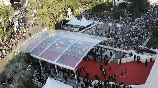 Red carpet action in Cannes