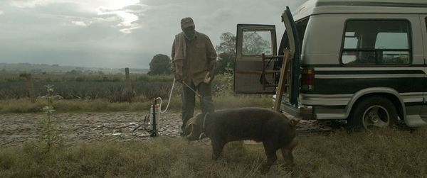 Danny Glover in Mr. Pig - on a mission to sell his last remaining prize hog and reunite with old friends, an aging farmer abandons his foreclosed farm and journeys to Mexico. After smuggling in the hog, his estranged daughter shows up, forcing them to face their past and embark on an adventurous road trip together. 