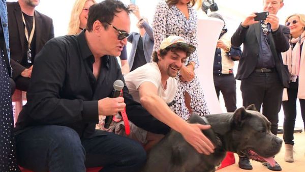 Quentin Tarantino at the Palm Dog awards with a pitbull lookalike in place of Brandy