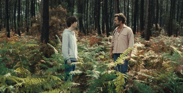 Out of the woods … The Animal Kingdom emerges as top César contender with acting nods for Paul Kircher and Romain Duris as father and son