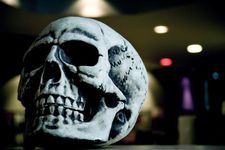 The Abertoir Skull