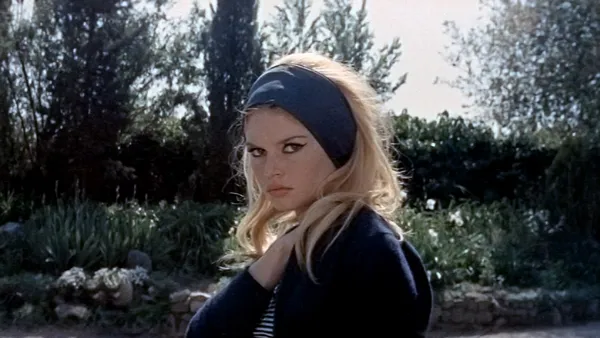 Brigitte Bardot was branded an international sex symbol in her youth