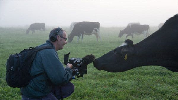Andy Heathcote and Ida the cow have a conversation as he shoots The Moo Man