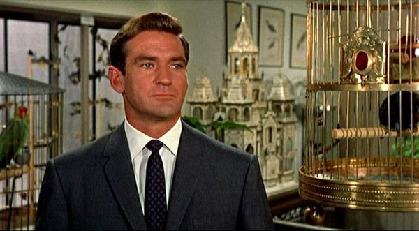 Rod Taylor in Alfred Hitchcock's The Birds