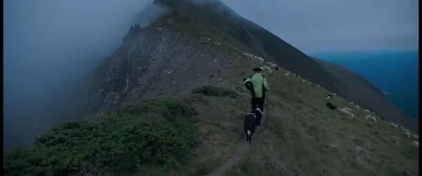 The Shepherd And The Bear