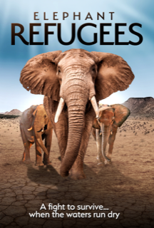Elephant Refugees packshot