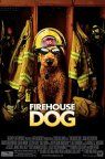 Firehouse Dog packshot