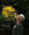 Leaning Into The Wind: Andy Goldsworthy