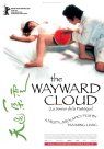 The Wayward Cloud packshot