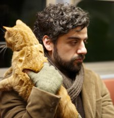 Oscar Issacs as Llewyn Davis and one of the many moggies