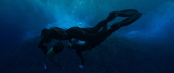 Maximilian Erlenwein on his stars Louisa Krause and Sophie Lowe learning to dive: We were really lucky that Louisa and Sophie were just natural talents