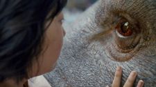 Last year, trouble brewed over Okja's inclusion in competition