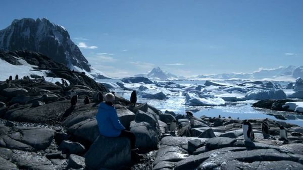 Luc Jacquet’s Ice And The Sky, the closing film of this year’s 68th edition of the Cannes Film Festival