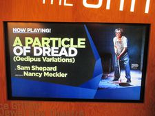Sam Shepard’s last play A Particle Of Dread (Oedipus Variations) starred Stephen Rea