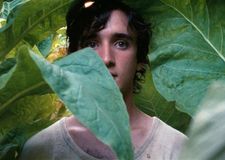 Alice Rohrwacher on Lazzaro (Adriano Tardiolo): “In the past they believed in his purity and took advantage of it, and in the present they don't see it and he becomes suspicious.”