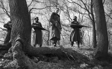 Deserter Corporal Willi Herold (Max Hubacher) escapes capture by hiding from Junker (Alexander Fehling) in the roots of a tree.