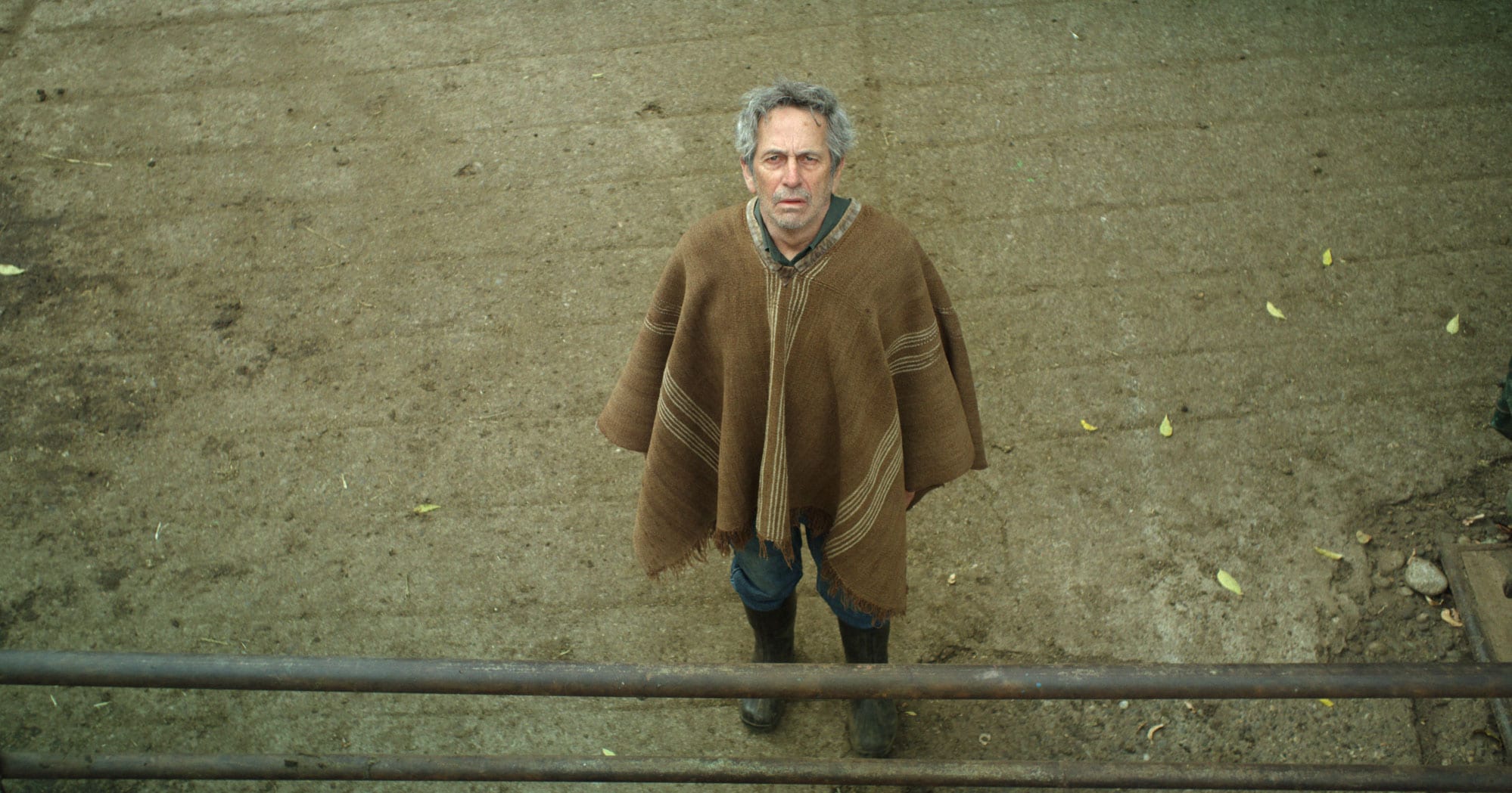 Eye For Film Alfredo Castro in The Cow Who Sang A Song Into The Future