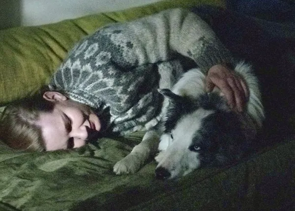 Border collie Snoop nabs top prize in the Palm Dog awards