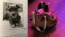 Susan Seidelman: “I heard you got Anchovy’s autograph! ”