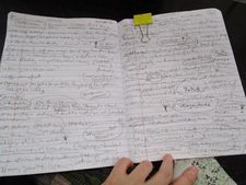 Pages 1 and 2 of Anne-Katrin Titze’s Bacurau film notes