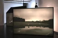 Dogs - Braguino Ou La Communauté Impossible at Le Bal in Paris