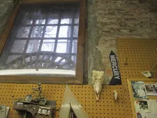 Carmine Street Guitars backyard window: "Especially in the summer I have the windows open and the birds are all out here ..."