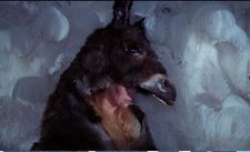 Catherine Deneuve in Jacques Demy’s Peau d'Âne (Donkey Skin)