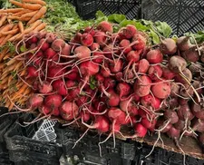 Andrea Segre on the Chioggia beet I gave him in 2012 for Shun Li and the Poet: “Ha! I remember the beet!”
