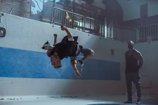 Tigers versus young lions