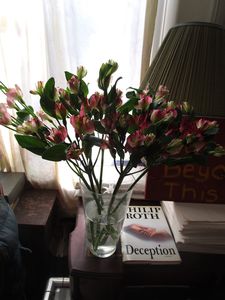 Arnaud Desplechin and Julie Peyr adapted Philip Roth’s novel Deception