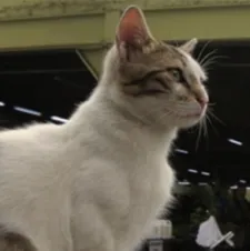 Deniz - "When we were accompanying the camera they were perfectly happy to let us be as close as we needed to."
 