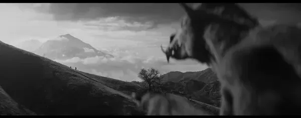 Em & Selma Go Griffin Hunting