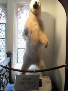 Explorers Club Polar Bear where Calvary director John Michael McDonagh was being photographed earlier.