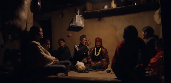 Alexander Murphy: 'They don't have the same relationship with the camera we do, they were extremely natural very quickly'