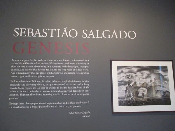 Sebastião Salgado's Genesis exhibition at the International Center for Photography in New York