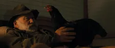 Hen
