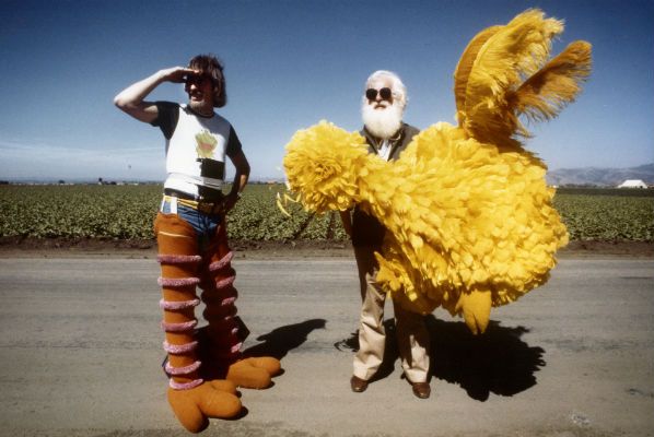 I Am Big Bird