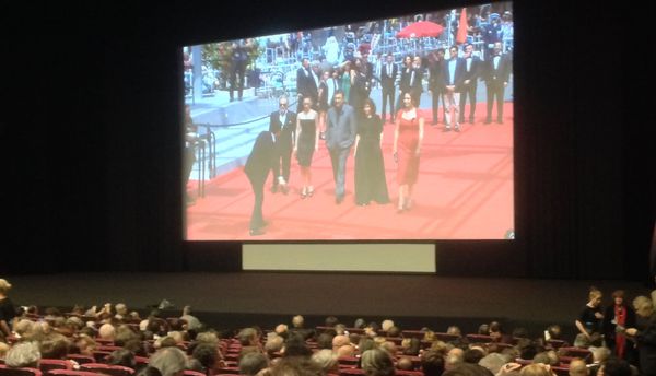 Packed auditorium watches red carpet arrivals at the Cannes Film Festival - organisers say planning continues