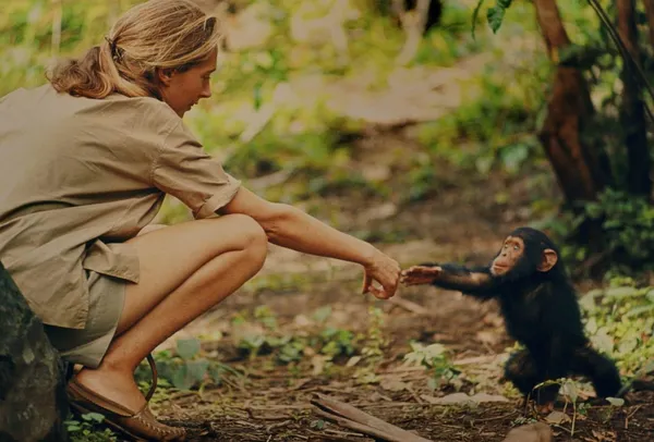 Jane Goodall with Flint