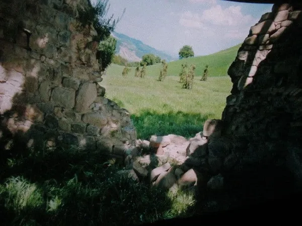 Michelangelo Frammartino's Alberi