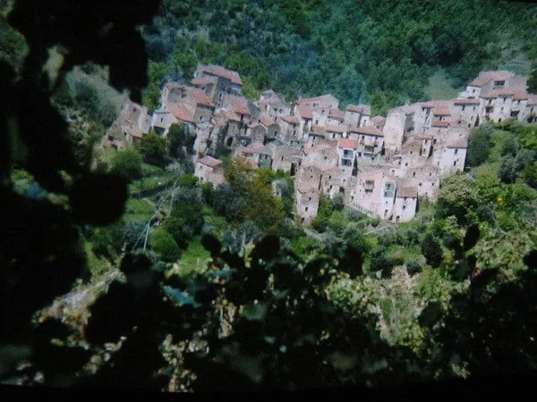Michelangelo Frammartino's Alberi 2