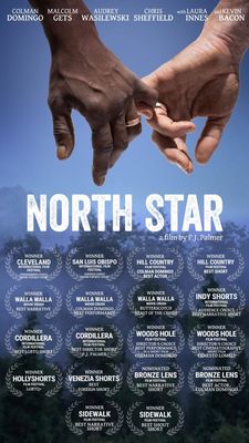 North Star poster