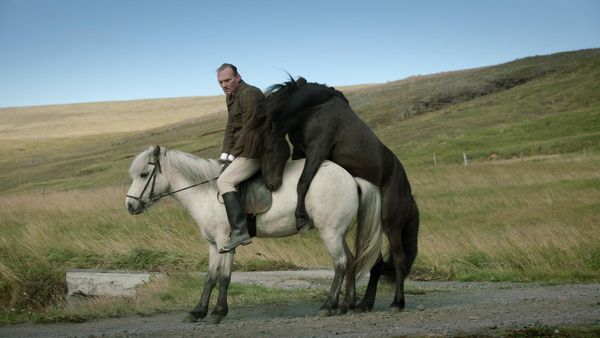 Of Horses And Men won the Tridens and FIPRESCI prizes at Tallinn's Black Nights Film Festival