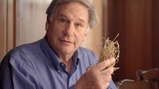 Robert Krulwich and his 55-year-old clump of grass