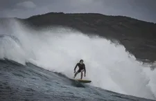 Pikelet (Samson Coulter): "Pikelet outgrows Sando and no longer has that possibility to communicate with him."