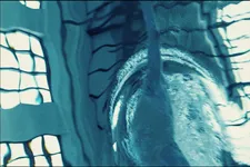 Isabelle Stever on cinematographer Constantin Campean: “We worked on the visuality for a long time and really discussed it.”