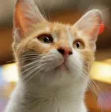 On following Sari - on her level: "It's all the nimble handiwork of Charlie Wuppermann, my cinematographer, and Alp Korfalı, who is a local, great cinematographer himself."